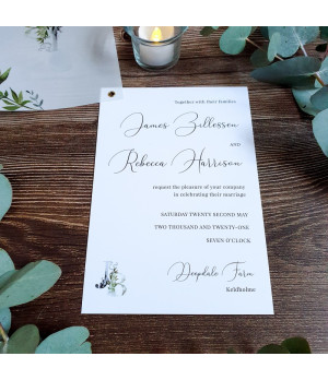 Whisper - Boho Greens
