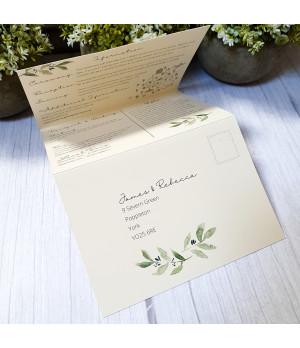 Concertina - Cream, Olive Leaves