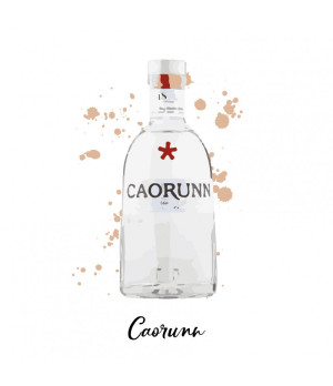 Gin