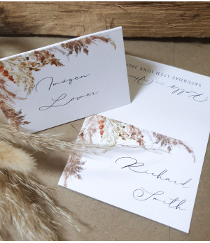 Elegance - Pampas