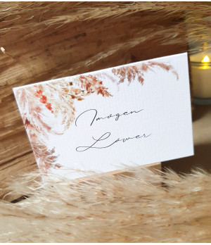 Elegance - Pampas