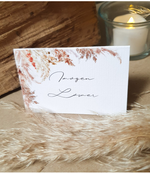 Elegance - Pampas